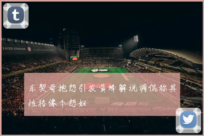 东契奇抱怨引发黄蜂解说调侃称其性格像个怨妇