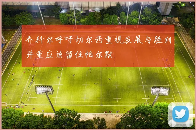 乔科尔呼吁切尔西重视发展与胜利并重应该留住帕尔默